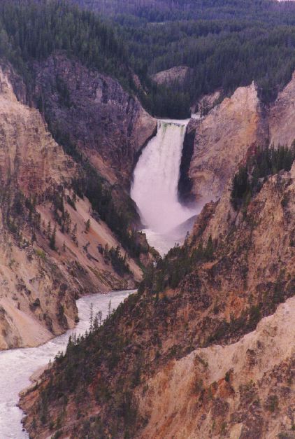 Yellowstone Falls